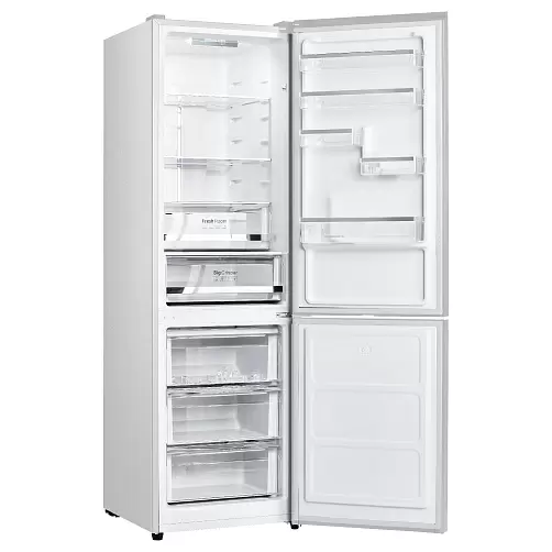 Холодильник с морозильной камерой FS 2291 DW